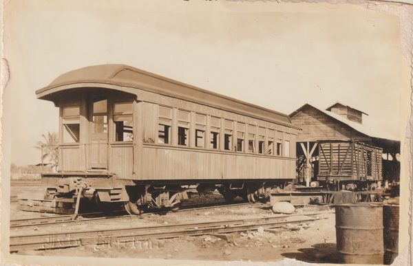 Vagones de pasajeros y de carga.